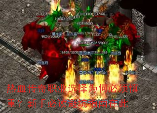 ��Ѫ����ְҵѡ��Ϊ�α������أ����ֱض��ܿ�ָ���ڴ�