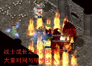 սʿɳ֮·ΪҪʱ뾫Ͷ룿