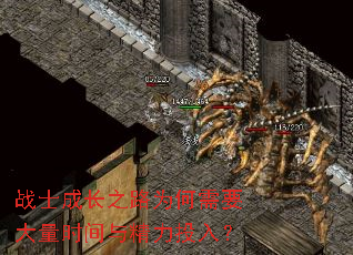 սʿɳ֮·ΪҪʱ뾫Ͷ룿