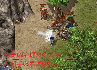 传奇GM治理命令大全?新手必看攻略指南 传奇GM治理命令大全?新手必看攻略指南