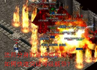 ʦ31ٳɹԣοͻƵȼƿ