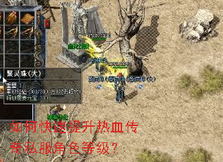 如何快速提升热血传奇私服角色等级? 如何快速提升热血传奇私服角色等级?
