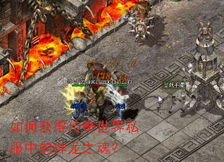 如何获得传奇世界私服中的神龙之魂? 如何获得传奇世界私服中的神龙之魂?