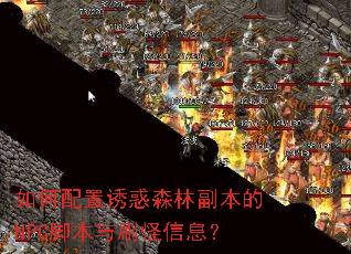 如何配置诱惑森林副本的NPC脚本与刷怪信息? 如何配置诱惑森林副本的NPC脚本与刷怪信息?