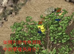 如何判断传奇游戏中的管理员身份? 如何判断传奇游戏中的管理员身份?