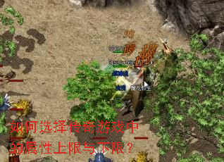 ���ѡ������Ϸ�е��������������ޣ�