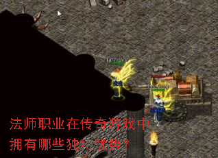 ��ʦְҵ�ڴ�����Ϸ��ӵ����Щ�������ƣ�