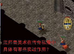 法师兽灵术在传奇私服中具体有哪些实战作用? 法师兽灵术在传奇私服中具体有哪些实战作用?