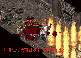 ���Ӧ�Դ�����Ϸ�еĲ��ȶ��ԣ�