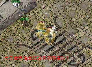 传奇世界道士技能书去哪里打? 传奇世界道士技能书去哪里打?