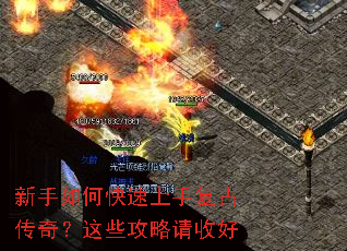 ������ο������ָ��Ŵ��棿��Щ�������պ�