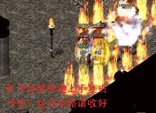 ������ο������ָ��Ŵ��棿��Щ�������պ�