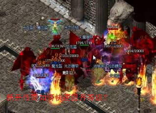 �¿�������ο��������ȼ���