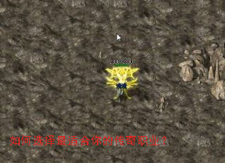 ���ѡ�����ʺ���Ĵ���ְҵ��