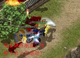 ������Щ���ѣ�����Ż�����ж���