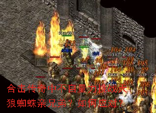 �ϻ������в���������ս����֩�����ֵܣ����Ӧ�ԣ�