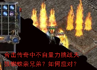 �ϻ������в���������ս����֩�����ֵܣ����Ӧ�ԣ�