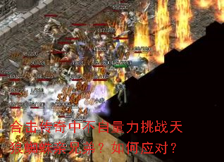 �ϻ������в���������ս����֩�����ֵܣ����Ӧ�ԣ�