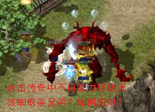 �ϻ������в���������ս����֩�����ֵܣ����Ӧ�ԣ�