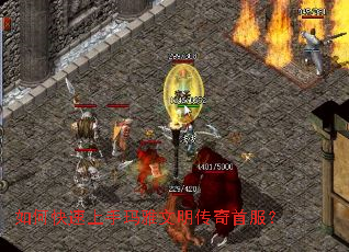 ��ο��������������������׷���