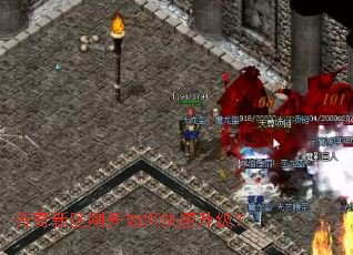 ���������տ���ο���������