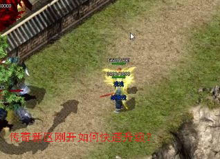 ���������տ���ο���������