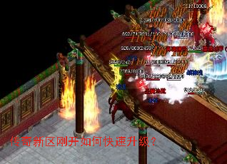 ���������տ���ο���������