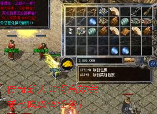 ����������θ�Ч���������������