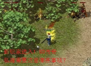 新玩家进入1.80传奇私服需要注意哪些事项? 新玩家进入1.80传奇私服需要注意哪些事项?