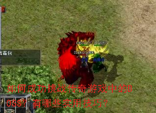 如何成功挑战传奇游戏中的BOSS?有哪些实用技巧? 如何成功挑战传奇游戏中的BOSS?有哪些实用技巧?