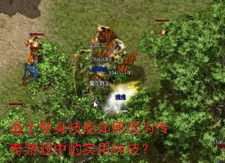 ��ʿ����������γ�Ϊ������Ϸ�е�ʵ���񼼣�