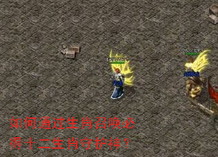 ���ͨ����Ф�ٻ��ص�ʮ����Ф�ػ���