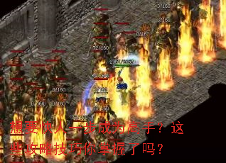 想要快人一步成为高手?这些攻略技巧你掌握了吗? 想要快人一步成为高手?这些攻略技巧你掌握了吗?