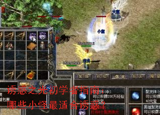 �ջ�֮���ѧ��ָ�ϣ���ЩС�����ʺ��ջ�