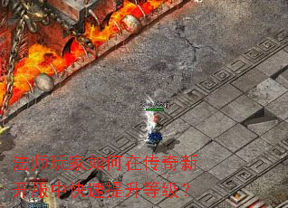 ��ʦ�������ڴ����¿����п��������ȼ���