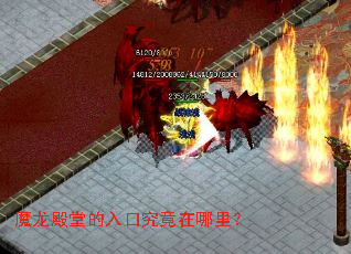 ħ�����õ���ھ��������