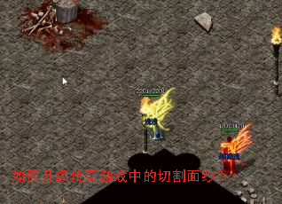 �������������Ϸ�е��и���ɴ��