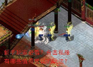 新手玩家必看?合击私服有哪些值得尝试的玩法? 新手玩家必看?合击私服有哪些值得尝试的玩法?
