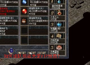 ��������ս���VIP��ͼ��