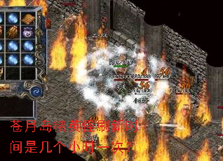 苍月岛精英怪刷新时间是几个小时一次? 苍月岛精英怪刷新时间是几个小时一次?