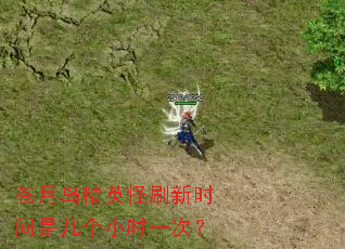 苍月岛精英怪刷新时间是几个小时一次? 苍月岛精英怪刷新时间是几个小时一次?