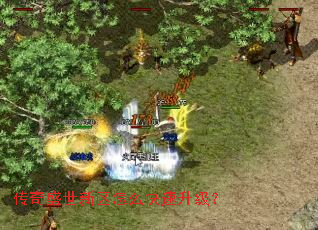 ����ʢ��������ô����������