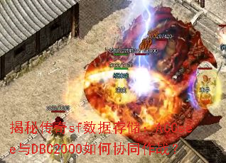 ���ش���sf���ݴ洢��ACCsee��DBC2000���Эͬ��ս��