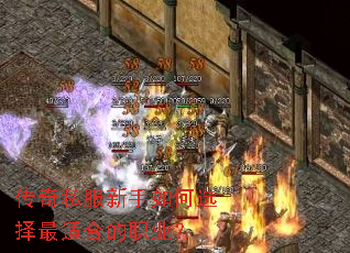 ����˽���������ѡ�����ʺϵ�ְҵ��