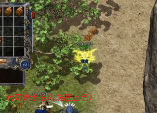 ����������ô�������֣�