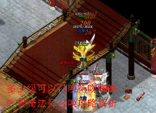 ���ټ������ٻ�����֩�룿���淨ʦ�ٻ����Խ���