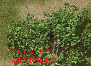 ��������սʿ��ô�棿��ǿ���Դ���ư�