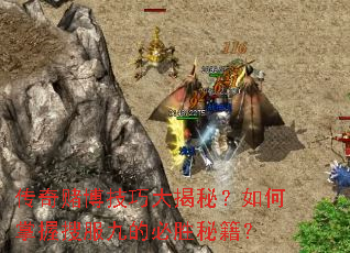 ����Ĳ����ɴ���أ���������ѷ��ŵı�ʤ�ؼ���