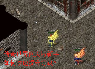 传奇世界网页版新手如何快速提升等级? 传奇世界网页版新手如何快速提升等级?