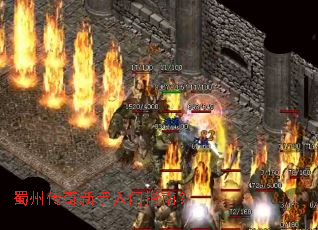 ���ݴ�����������ָ�ϣ�